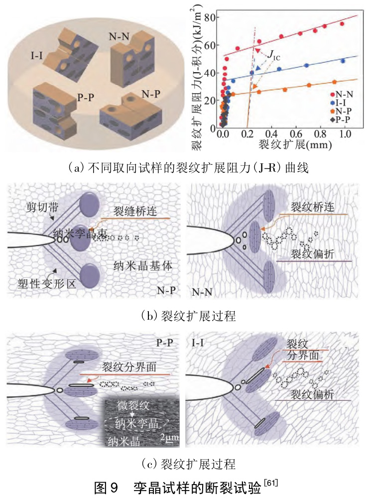 深冷超聲滾壓TA1/TA2/TC4鈦合金微觀作用機(jī)理的研究進(jìn)展
